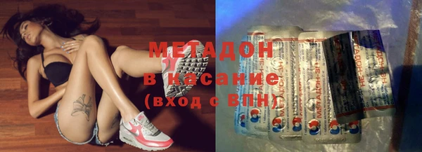 прущие грибы Алзамай