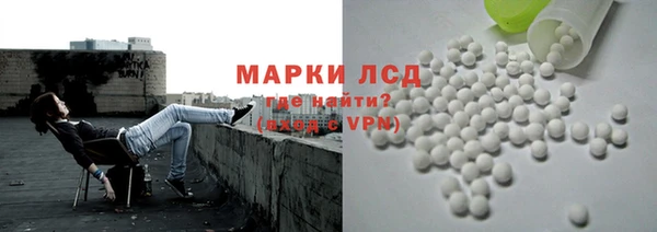 прущие грибы Алзамай