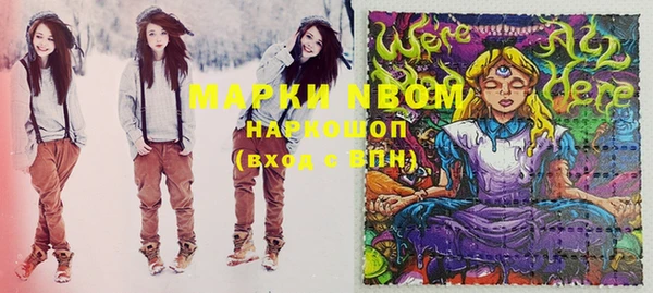 СК Алексин